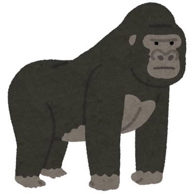 gorilla2さんのプロフィール画像