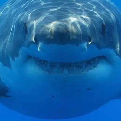 spudlife18's profile picture. 