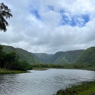 ColeColev11's profile picture. 