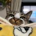 かりん&さちこ (@8vowkzriqleview) Twitter profile photo かりん&さちこ (@8vowkzriqleview) Twitter profile photo