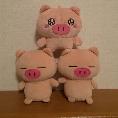 lovebutatameta's profile picture. ぶたた🐽とめーたが大好きな○○さんです😅
多くのぶたた🐽好きさんと交流したい
よろしくお願いします😄
