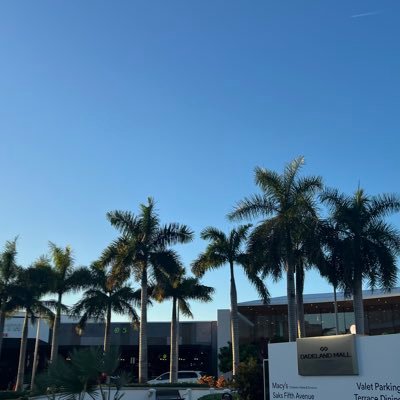 bradleycaban's profile picture. miami