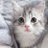 rk_04265's profile image