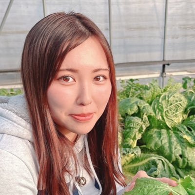 農業4年目 健康に関する野菜の情報を発信。私が育てた新鮮野菜を直送してます→https://t.co/vLr0Oymv27 ▶#白菜サラダ。細切りにした白菜にお好みのドレッシングをかけるだけの簡単レシピで水に溶けてしまうビタミンCを逃さず効率よく摂取しましょう！
#母@aisaika_daihyou