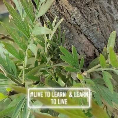 Sachinverma2714's profile picture. 