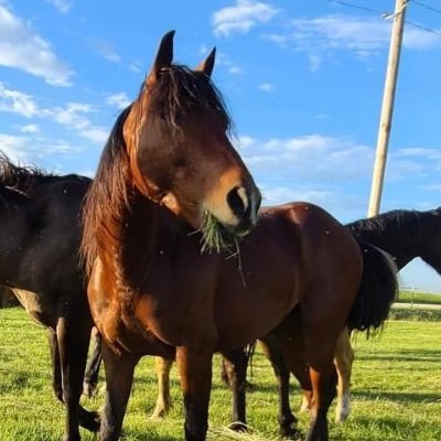 BrittM2509's profile picture. 