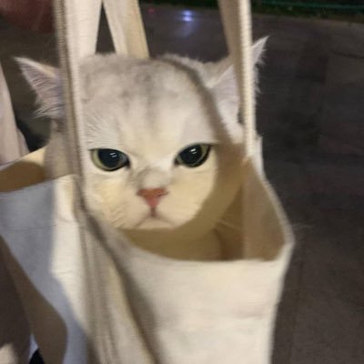 princess_para's profile picture. 