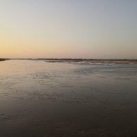 huyang2 (@huyang2) 's Twitter Profile