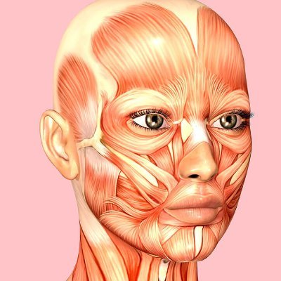 flesh_lady's profile picture. 