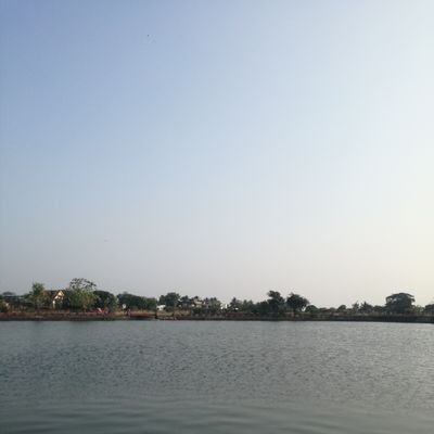 Anujj420's profile picture. balance chaos.