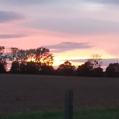 KarenSc12109349's profile picture. Socialist
Pro Europe 
Remainer
Love animals, photography, music and reading
Hate the duplicitous, corrupt Tories