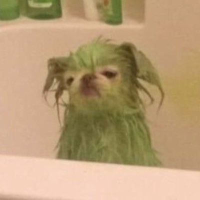 x_xyoume's profile picture. 