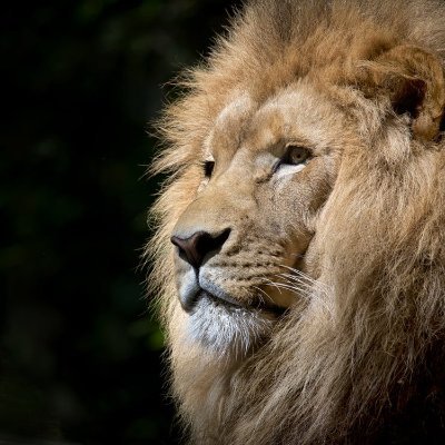 jayadeep1999's profile picture. 