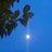 bluestenyeyes's profile image