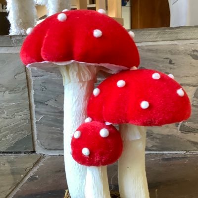 louloucrabbers's profile picture. Fed up with the lies and corruptions of the world right now. Simplifying life to escape the madness.