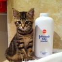 Jane Rees - @Janerees - Twitter