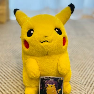 高知で子どもと一緒にポケカしてます⭐︎息子(中2)は対戦大好きカイリュー推し。2023 PJCS Jr.Top8、PWCS Jr.30位。2026 S1 Op.Top4。娘(小6)は漫画を含めた読書好き。時々ピアノ。無言フォロー失礼します🙇♀️