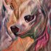 t (@dogenzf) Twitter profile photo t (@dogenzf) Twitter profile photo