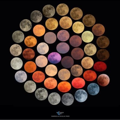 KentuckyMom2480's profile picture. 