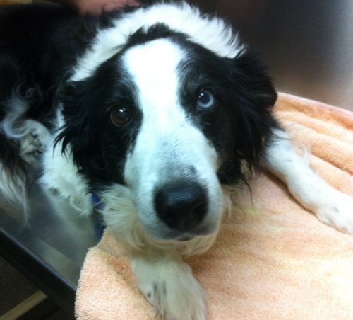 minimoogan's profile picture. 