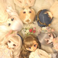 小龍(こたつ) (@rabbit_punchi) 's Twitter Profile