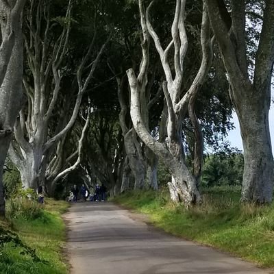 2P0kbrenden's profile picture. I love Ireland!