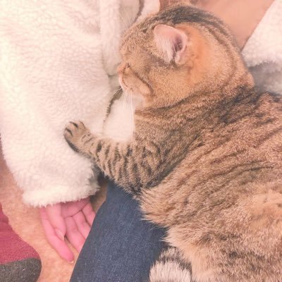 _mm314mm_'s profile picture. パトラ( ˘ω˘ ).｡oO🍊