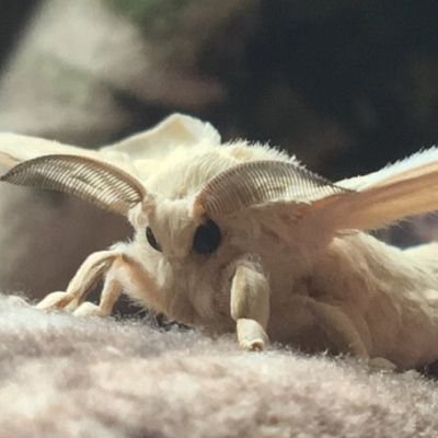 Beetさんのプロフィール画像
