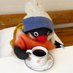 🐧 (@marsfinsta) Twitter profile photo 🐧 (@marsfinsta) Twitter profile photo