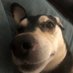 chase (@stepfathervisa) Twitter profile photo chase (@stepfathervisa) Twitter profile photo