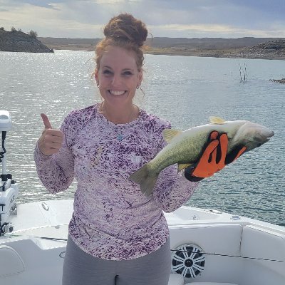 SunshinePatrio5's profile picture. Child of God, wife, and mom of boys. 
God is my foundation and being a wife and mother are the most rewarding choices I decided to make.