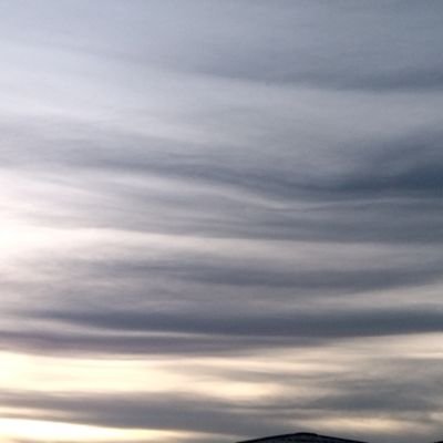 nnaleaz's profile picture. i guess