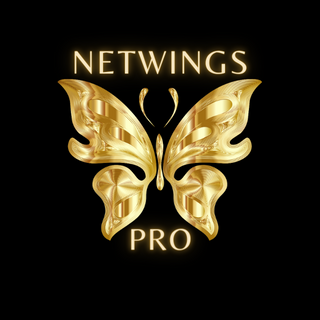 NetwingsPro Profile Picture