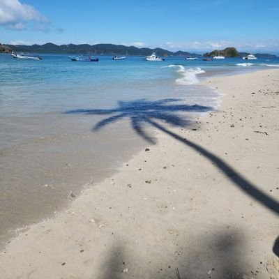 Prscrptn_Plmbng's profile picture. We Specialize in UltraSonic Leak Detection for Water,Gas and Sewer.We are a Referral based company with many great reviews on the web,Check Us Out