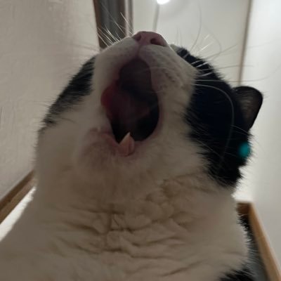 いしはら