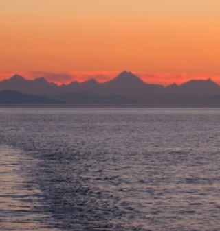 whodidyoudothat's profile picture. Jack of All Trades. Master of ?