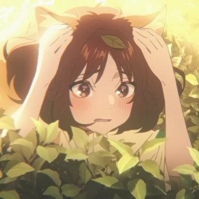 めいぷるさんのプロフィール画像