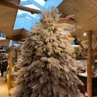 HackneyLiving (@ridleyroad174e8) 's Twitter Profile