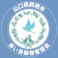 青い鳥動物愛護会🕊️@山口県防府市 (@aoitoriaisatsu) 's Twitter Profile Photo 青い鳥動物愛護会🕊️@山口県防府市 (@aoitoriaisatsu) 's Twitter Profile Photo