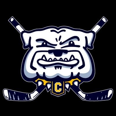 Official Twitter account of the Chelsea High School Varsity Hockey team. #bulldogs