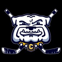 Chelsea Varsity Hockey(@CHS_VHockey) 's Twitter Profile Photo