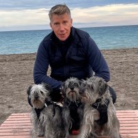 Fran (@franclemente_) 's Twitter Profile Photo