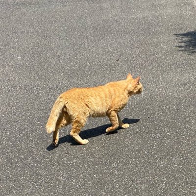 職業はケアマネ。ネガティブな呟きが多い。お許しを💧介護保険業界の本音や仕事術など知りたい。宜しくお願いします😊