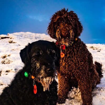 merthyrboy's profile picture. Living in Merthyr Tydfil, trying to be the best Dad in the world