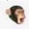 petitfranku's profile picture. 