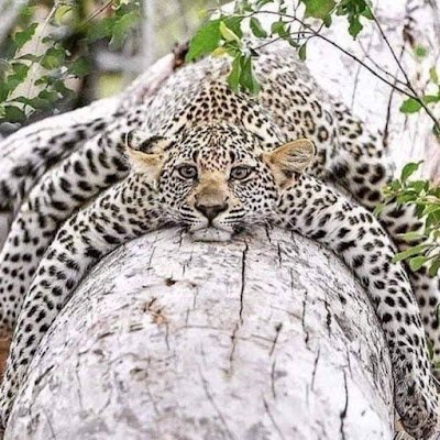 erik_murk's profile picture. 