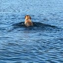 Richard Pape - @RichardPape_875 - Twitter