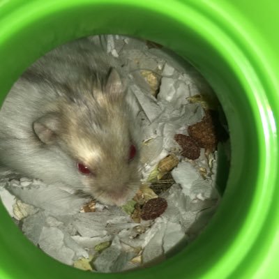 Ava19611555's profile picture. 