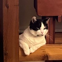 Jason Hollen (@almostheavngolf) 's Twitter Profile Photo