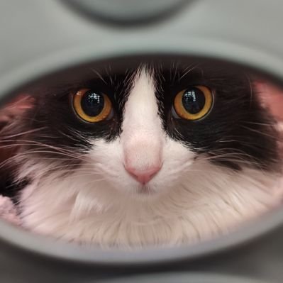 edumps's profile picture. o ministerio da saude si diverte